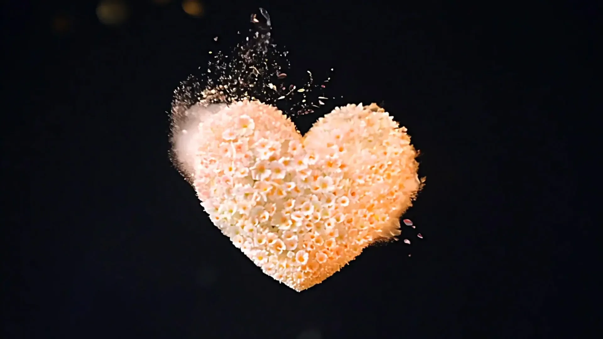 Romantic Floral Heart Shaped Particle Overlay for Wedding Videos